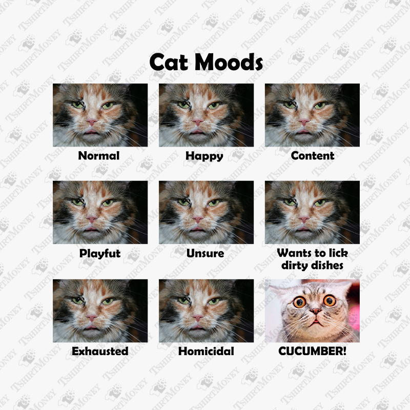cat-moods-print-file